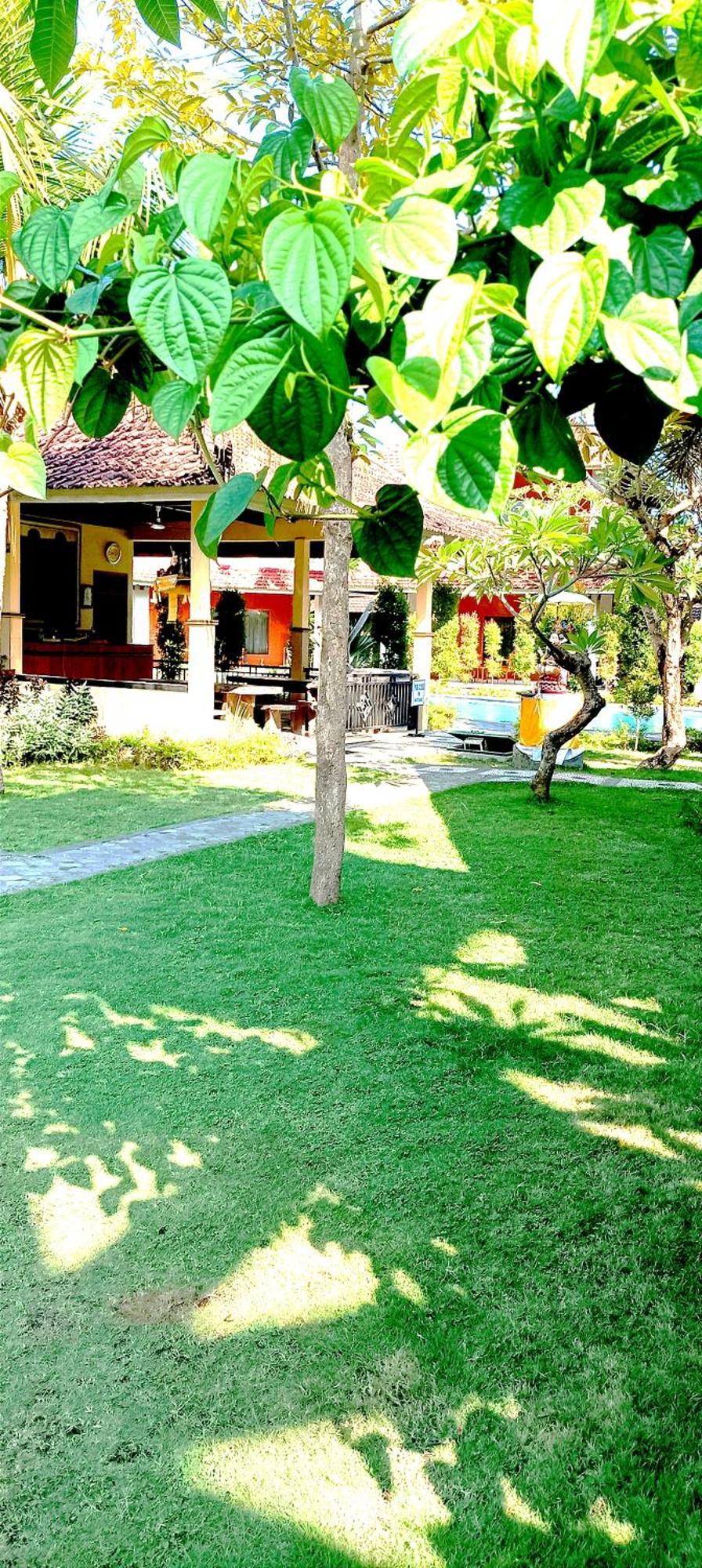 Hotel My Lovina Luaran gambar
