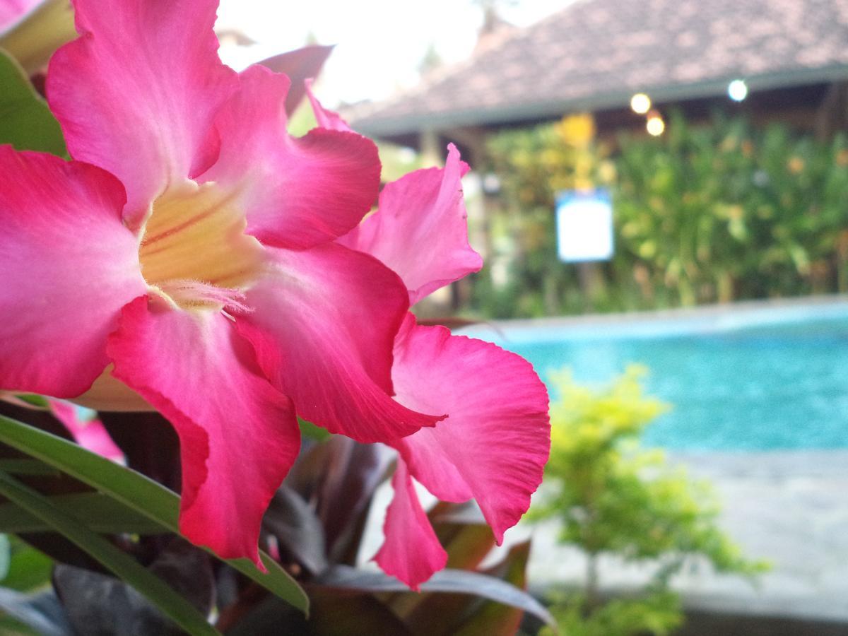 Hotel My Lovina Luaran gambar