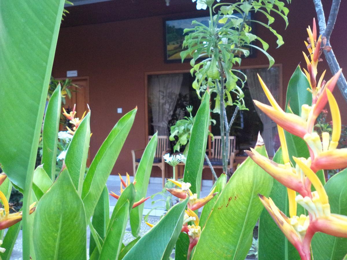 Hotel My Lovina Luaran gambar
