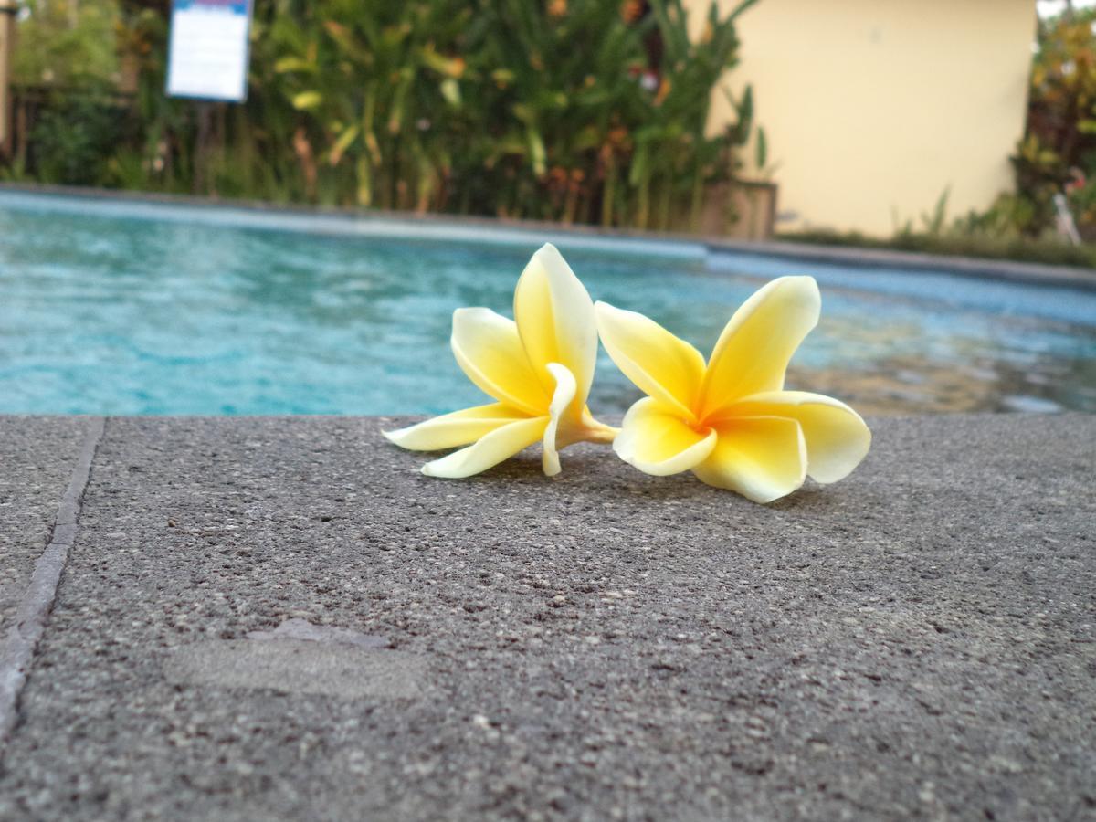 Hotel My Lovina Luaran gambar
