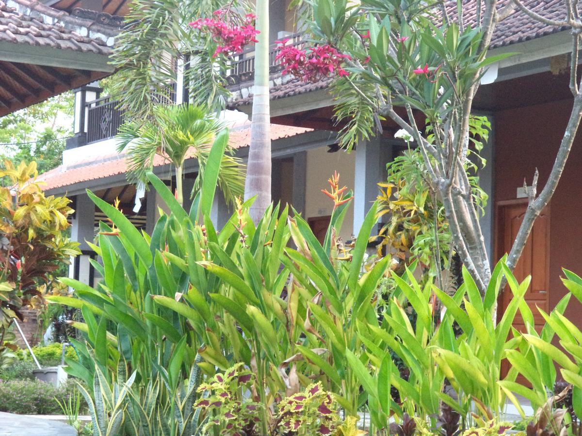 Hotel My Lovina Luaran gambar