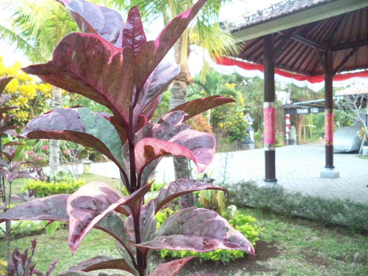 Hotel My Lovina Luaran gambar